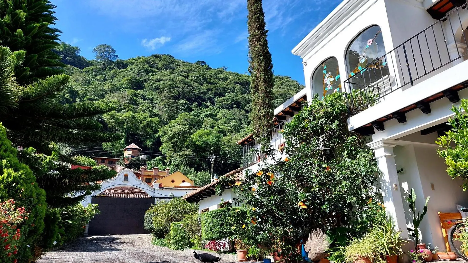 Hotel Y Jardines Casa Buho Antigua