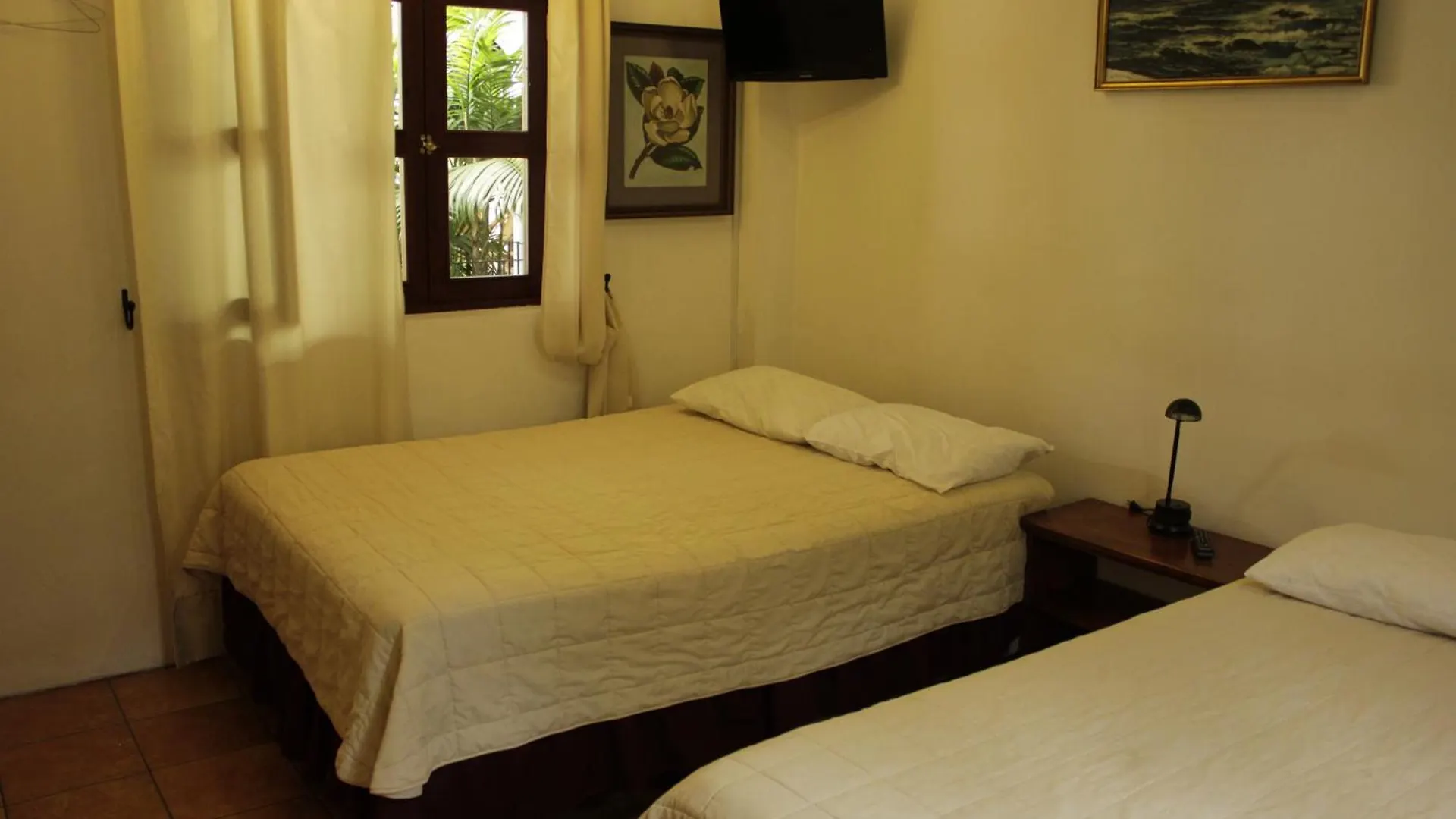 Hotel Y Jardines Casa Buho Antigua