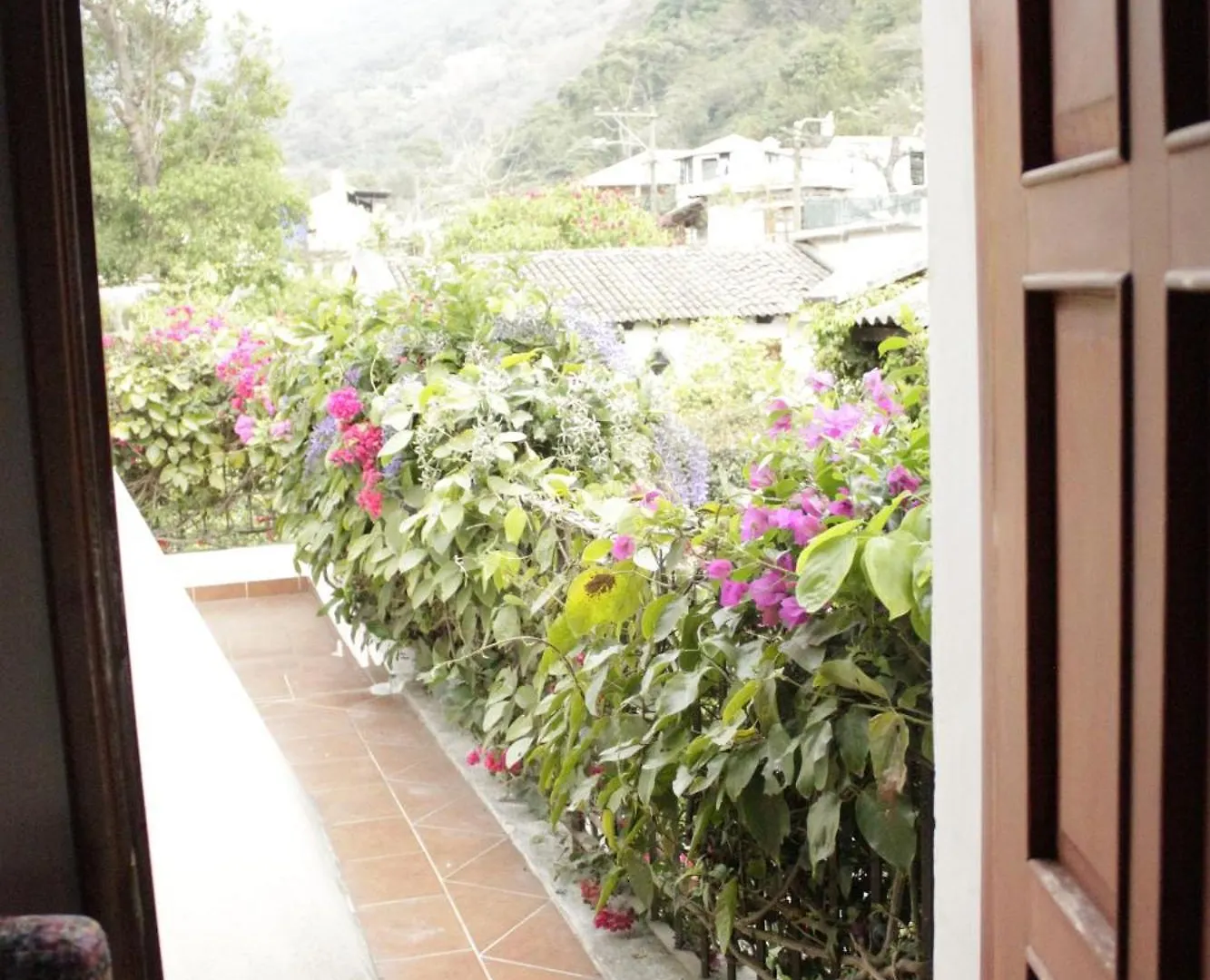 Hotel Y Jardines Casa Buho Antigua
